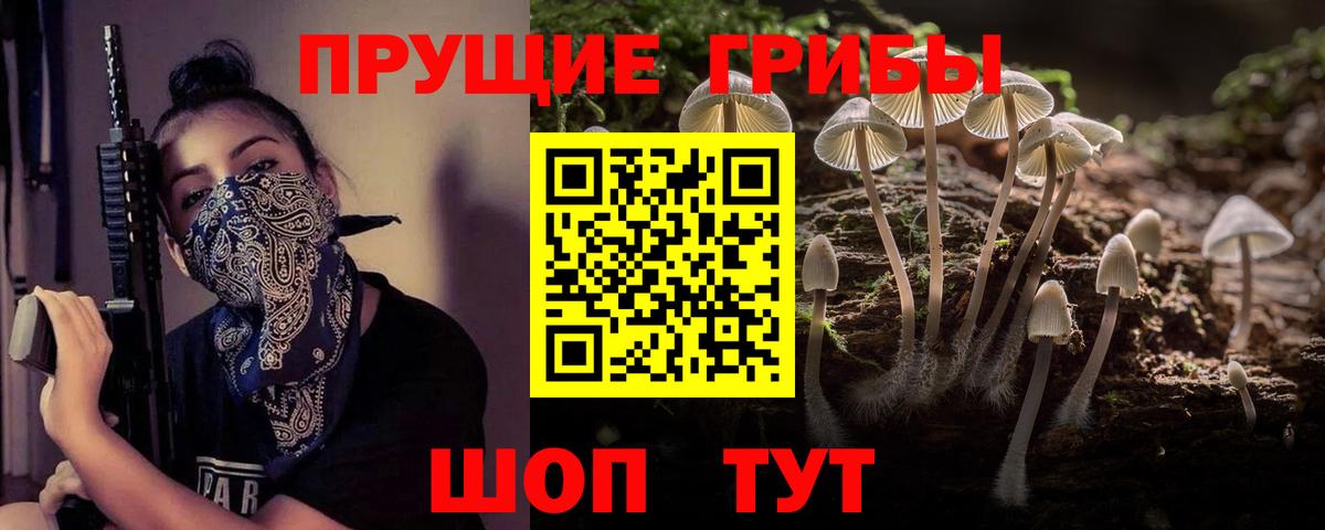 Галлюциногенные грибы мицелий  Вход с VPN  Псилоцибиновые грибы GOLDEN TEACHER  Биробиджан 